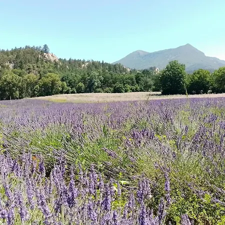 דירה Gites La Bastide Flora, Vue Panoramique Ou Chambres Sur Rue