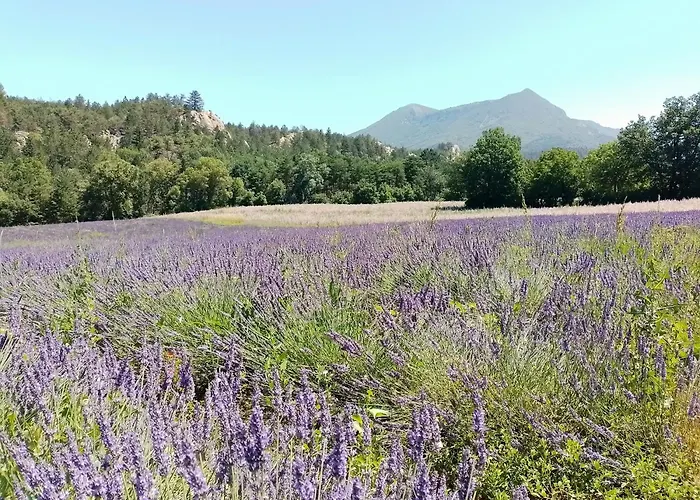 Apartmán La Bastide Flora
